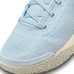 ZOOM LEBRON NXXT GEN EP